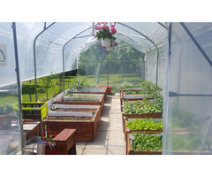 Plastenik, staklenik, vrtni